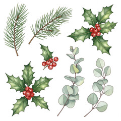 Collection of festive holiday greenery isolated on transparent background