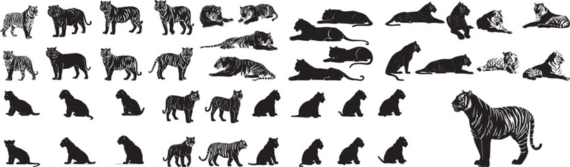 Collection of Black and White Tiger Illustrations and Silhouettes in Various Poses
