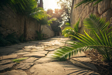 Palm Leaves Laid on Path with Soft Shadows Symbolizing Path of Honor