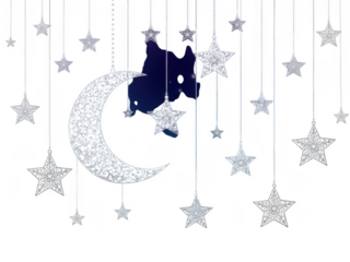 Map of south korea with moon and stars isolated on transparent background