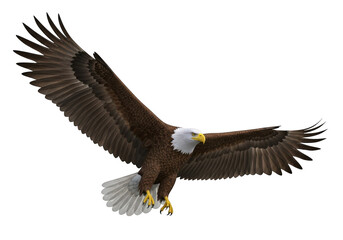 Fototapeta premium Majestic bald eagle in flight with outstretched wings isolated on transparent background