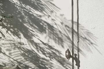 white wall background with shadow overlay tropical leaves