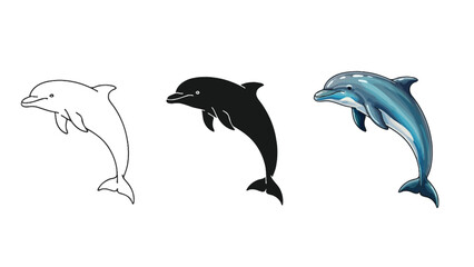 Fototapeta premium Set of three dolphin illustrations outline sketch, black silhouette and realistic color drawing