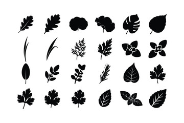 Botanical leaf silhouette icons set, diverse foliage and nature vector symbols.