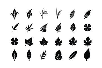Tropical jungle leaf silhouettes and exotic botanical foliage vector icon set.