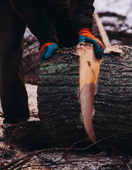 Obraz premium Lumberjack woodcutter with chainsaw in uniform cutting a massive tree in the winter forest, logger sawing and chopping firewood timber tree trunk on sawmill, lumberman at work, sawdust and woodchips