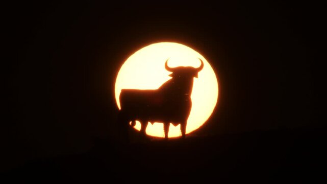 Bull silhouette with the sun going down at sunset. Time Lapse
