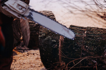 Lumberjack woodcutter with chainsaw in uniform cutting a massive tree in the winter forest, logger...