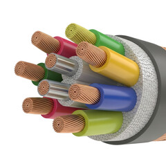 Multi-Conductor Cable Close-up