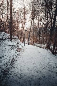 A trail leading through a steep, snow-covered wooded area with a single modern lamp post.