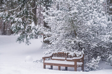 Winter landscape park tree branches covered in snow in December next to a bench
