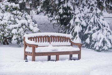 Winter landscape park tree branches covered in snow in December next to a bench