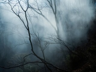 Obraz premium Mystical Forest Scene