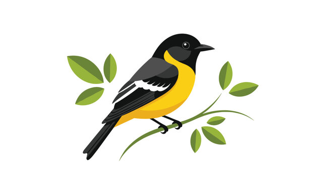 Elegant illustration of a beautiful black and yellow oriole bird, gracefully perched on a delicate leafy green branch, showcasing its striking plumage.