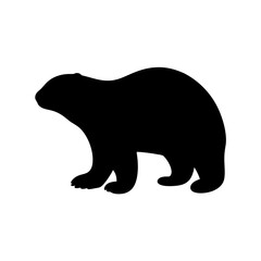 Fototapeta premium Silhouette of a bear walking