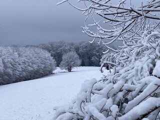 Naturlandschaft I&rsquo;m Schnee zwischen Wald und Wiese zur blauen Stunde