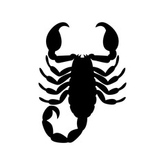 Obraz premium Black silhouette of a scorpion