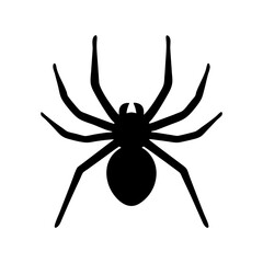 Obraz premium Simple black spider silhouette