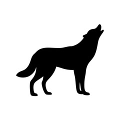 Fototapeta premium Silhouette of howling wolf
