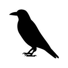 Obraz premium Silhouette of a black bird