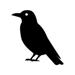 Obraz premium Silhouette of a black bird