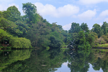 Swan lake with bronze sculpture  "Flight of Swans" in Singapore Botanic Gardens, Singapore