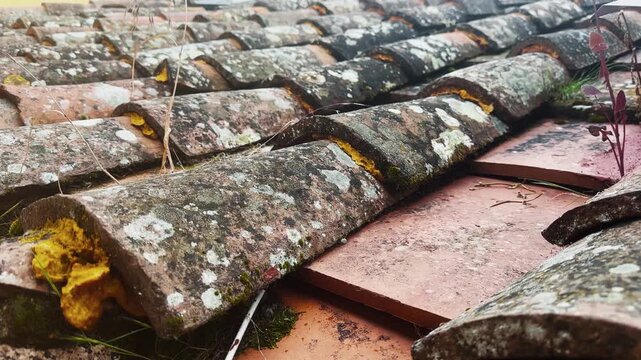 Traditional terracotta-tiled roof from a Tuscan home, showcasing moss and lichen growth on the weathered surface, illustrating the rustic charm of Italian architecture and cultural heritage
