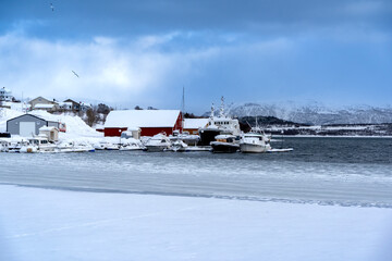 snowy landscape and frosted sea in Tromso Norway