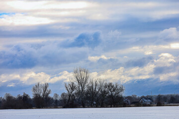 Winter landscape with bare trees and dramatic clouds over a snow-covered field
