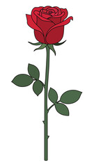 Red rose flower with green stem and leaves vector illustration icon with black outline isolated