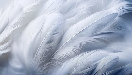 closeup white feathers background for calm concept abstract smooth texture with flowing softness and delicate patterns