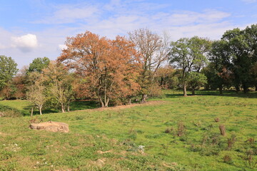 Naturlandschaft bei Kloster M&ouml;llenbeck im Weserbergland