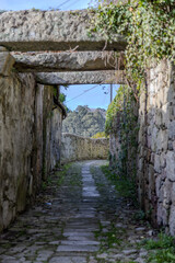 Fototapeta premium Ancient stone alley with archway and cobblestone path in Porto