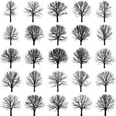 Winter Tree Pattern Bare Forest Vector