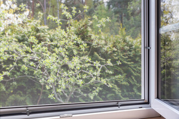 Open PVC window with mosquito screen installed, spring greenery outside. Concept of insect...
