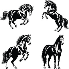 Horse Running Collection Wildlife Vector Illustration