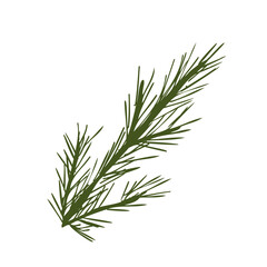 Fototapeta premium Pine tree simple branch Illustration isolated on white. Evergreen fir tree twig. Pine tree sprig hand drawn vector illustration for winter decor, print, stickers, banner, poster