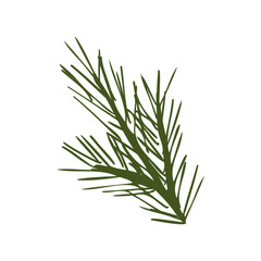 Fototapeta premium Pine tree simple branch Illustration isolated on white. Evergreen fir tree twig. Abstract pine tree sprig hand drawn vector illustration for winter decor, print, stickers, banner, poster