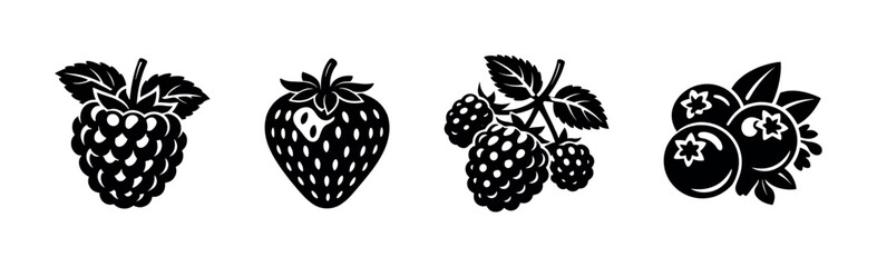 Berry vector icons set: raspberry, strawberry, blackberry, blueberry silhouette