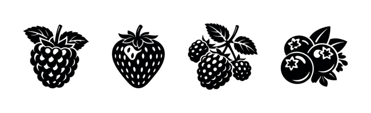 Berry vector icons set: raspberry, strawberry, blackberry, blueberry silhouette