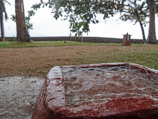 Welcome to the tropical rain 