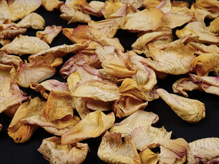 Dried pale cream color rose petals lie on a black background, top view