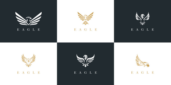 Eagle or hawk head logo collection. Eagle bird vector logo set.