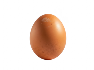 Brown egg isolated on transparent background with subtle texture and sheen