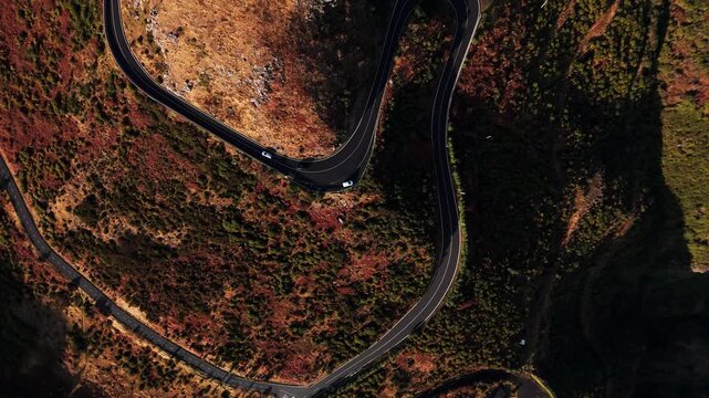 Serene Mountain Pathway Adventure, Aerial Shot Showcasing Rugged Mountain Switchbacks Amid Autumn Colors