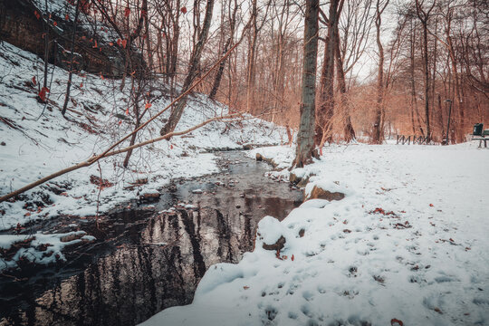 A tranquil winter scene featuring a narrow stream flowing through a snow-covered forest. The banks are lined with deep snow and deciduous trees with bare branches, reflecting softly in the dark water