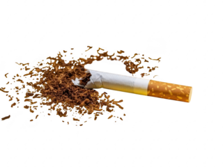 A cigarette with tobacco spilling out on a white surface isolated on transparent background