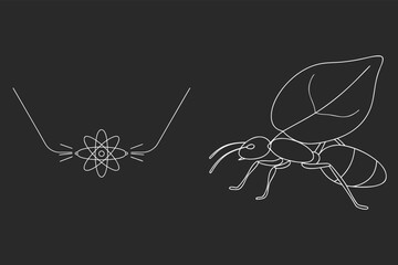 Insect Line Art Vector Illustration, Beetle Sketch And Flower Design