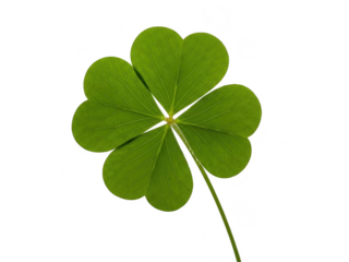 A green fourleaf clover isolated on transparent background for st patricks day symbolizing good luck and nature