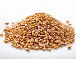 pile of wheat grains isolated on white background